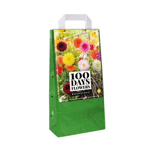 Bloembollen tas Dahlia Deco Mix (5 stuks)